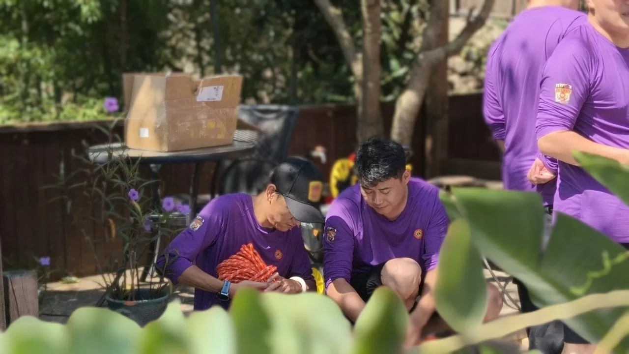 活动照片